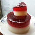 Cooksnap dari Ayu Apriyanti untuk resep Puding Buah Naga Susu