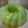 Cooksnap dari Sri Yati Busairi untuk resep Puding lumut simpel