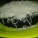 Cooksnap dari Lia Indriani untuk resep Oreo Steam Cake