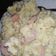 El cooksnap de Marta Marqués cuando hizo Ensalada alemana.