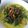 Cooksnap dari Masbo Kitchen untuk resep Gulai Daun Singkong Teri
