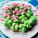 Cooksnap dari Noer Hasanah untuk resep Bolu kukus mekar