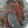 Cooksnap dari D e e untuk resep Sambal Terasi Mentah