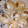 El cooksnap de Kara Lastape cuando hizo Panes de Leche con Dulce de Leche y Pastelera.