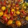 Cooksnap dari DS untuk resep Oseng Kikil Kecap Cabe Ijo Pedas