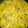 El cooksnap de Vanessa cuando hizo Pollo al curry con leche de coco y cilantro.