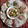 Mauli Mankad's cooksnap of when they made રાજગરા પૂરી(rajgara ni puri recipe in gujarati).