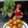 Dipal Parmar's cooksnap of when they made ફરાળી પેટીસ (Farali Pattice Recipe In Gujarati).