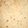 Nosheen Nadeem's cooksnap of when they made Roti.