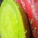 Cooksnap Tiniey Rosly semasa beliau membuat Kek Pandan Kukus.