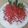 Cooksnap dari Nafisa Kitchen untuk resep Bubur Mutiara