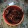 Cooksnap dari arbainah untuk resep Bebek Sinjay