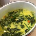 Cooksnap dari Reza Rohi untuk resep Sayur santan pucuk labu
