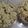 Cooksnap dari Dewi indah kuswanti untuk resep Cookies Sagu Keju Renyah & Lumer 🧀