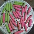 Cooksnap dari rebecca rebecca untuk resep Caterpillar cookies no oven no mixer