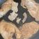 Cooksnap de Roberto Receitas quando cozinhou Bifanas na airfryer.