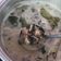 Cooksnap dari dita untuk resep S3 (sup susu sapi)
