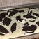 El cooksnap de Marta González cuando hizo Tarta de queso y Oreo (Sin horno).