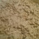 rella21's cooksnap of when they made Stroganoff.