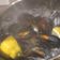 El cooksnap de Tito cuando hizo Mejillones al vapor a la valenciana.