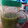 El cooksnap de Carmen Farré cuando hizo Zumo detox completo.