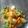 Cooksnap dari irnandawati untuk resep Setup sayuran