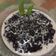 Cooksnap dari Ika Yudhawastuti untuk resep Bubur ketan hitam