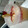 cochoa113.co's cooksnap of when they made Strawberry Lemonade.
