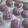 Cooksnap dari dapur 'ndi (Indi Rahana) untuk resep Bakpao Telo Ungu