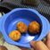 Cooksnap dari Fauziah Sandra Pertiwi untuk resep Menu anak 1th+ Rice ball