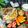 jocelin13 的 蔥抓炸醬盒 cooksnap