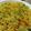 Dharti Kalpesh Pandya's cooksnap of when they made વૅજ બિરયાની.