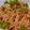 Nidhi Jay Vinda's cooksnap of when they made વેજ ચાઉમિન.