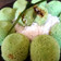 Cooksnap dari Deaskarl untuk resep Putu bambu