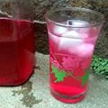 Cooksnap dari Ma2 Khansa A.N untuk resep Sirup cocopandan homemade