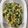 廖文仲 的 鹹蛋炒莧菜 cooksnap