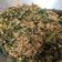 Cooksnap dari fany untuk resep 199. Urap Bumbu Genep Khas Bali