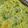 Shweta Kunal Kapadia's cooksnap of when they made દલિયા ની ખીચડી(Daliya ni khichdi recipe in gujarati).