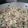 El cooksnap de angesanchez56@hotmail.com cuando hizo Arroz Chaufa (arroz peruano).