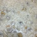 馮筱涵 的 古早味芋頭粥 cooksnap