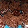 Cooksnap dari Nay_nay untuk resep Bolu Kukus Coklat (No mixer No telur)