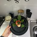 El cooksnap de Mariely Aguirre Linares cuando hizo Bruschetta with tomato.