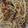 Cooksnap dari gracie gracie untuk resep Spagetti Carbonara Simple