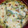 El cooksnap de Ani Acevedo cuando hizo Tarta de zapallitos con jamón y queso.