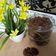 Cooksnap dari Eci Yulianto untuk resep Semprit Coklat NCC #day7