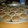 El cooksnap de Evangelina Isabel Palacios cuando hizo Magdalenas Caseras 🍪☕.