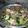Cooksnap dari albar pandu wisesa untuk resep Sop ayam simple❤