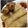 Manisha Shete - Vispute's cooksnap of when they made स्प्रिंग रोल (spring roll recipe in marathi).