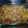 betsy.hudson's cooksnap of when they made Tinklee's Cheesy Hashbrown Casserole.