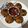Falguni Shah's cooksnap of when they made બાજરીના વડા (Bajri Vada Recipe In Gujarati).